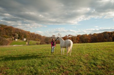Horse and Rider Photo